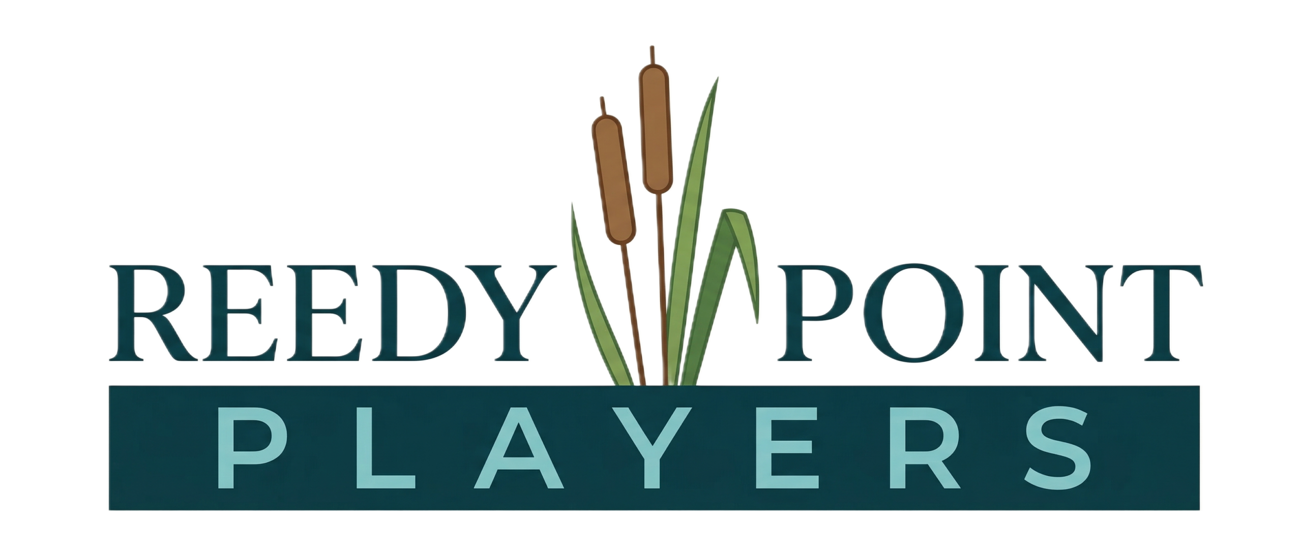 Gemini_Generated_Image_5v1ryu5v1ryu5v1r-Picsart-BackgroundRemover